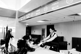 寧夏移動信息服務(wù)業(yè)務(wù)進(jìn)駐市民大廳，開啟便民服務(wù)新篇章